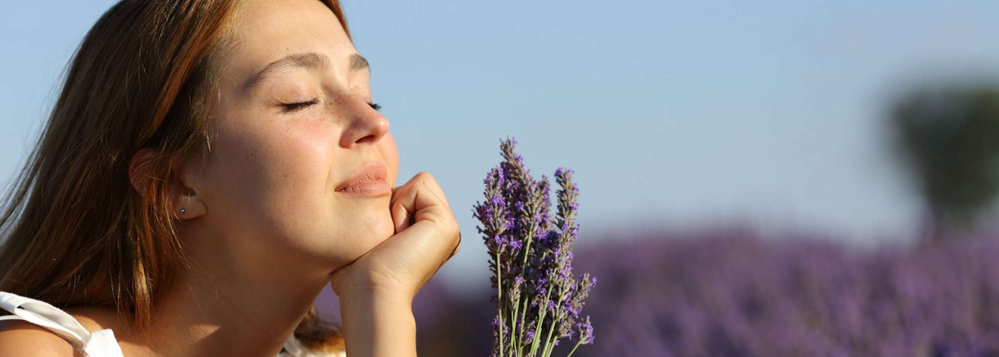 Frau mit geschlossenen Augen, die einen Lavendelstrauß in einer lila Lavendelfelder hält.