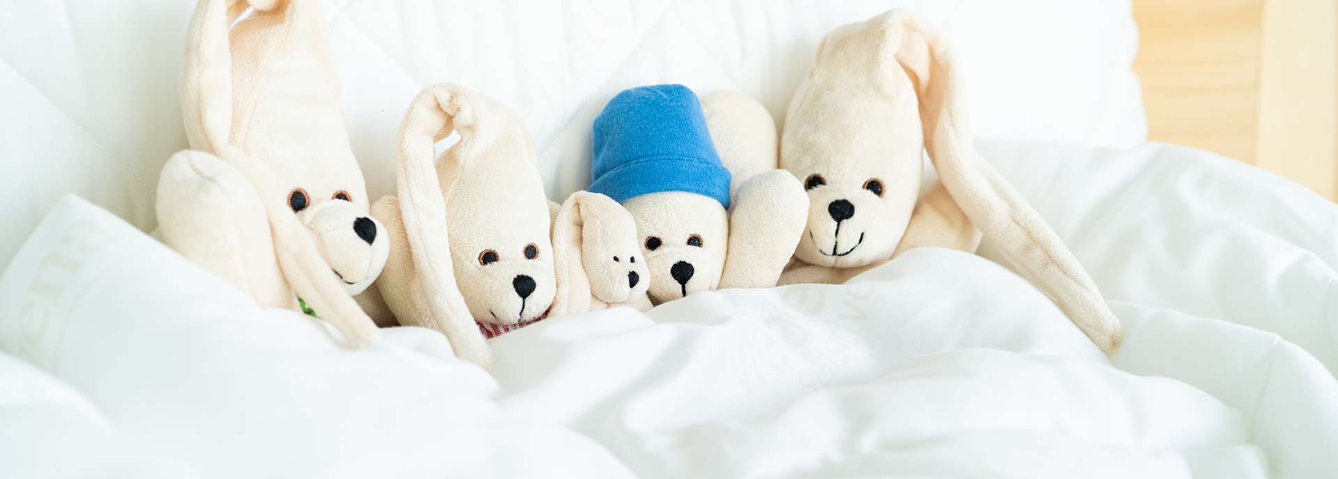 Fünf Kuscheltiere liegen unter einer Decke auf einem Bett, in verschiedenen Größen und mit unterschiedlichen Gesichtsausdrücken.