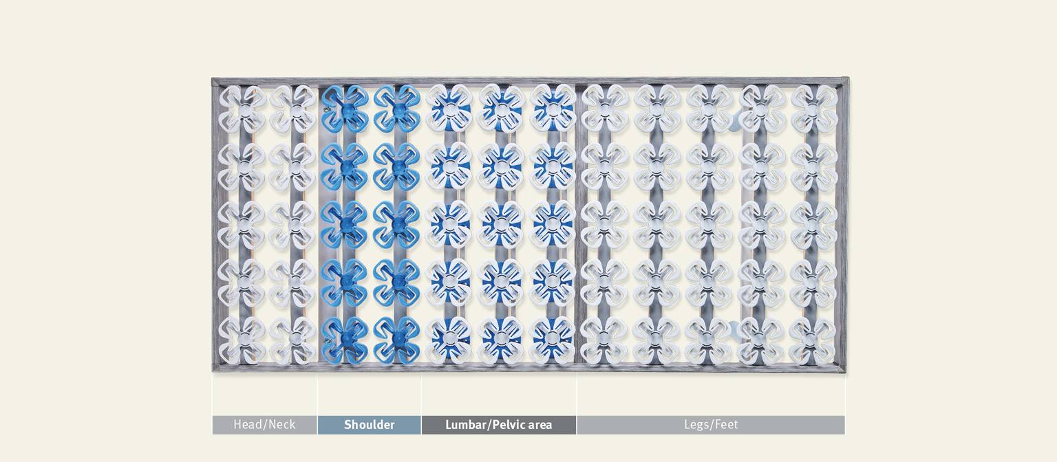 Mattress with different zones for head, shoulders, lumbar, and legs in a clear design.