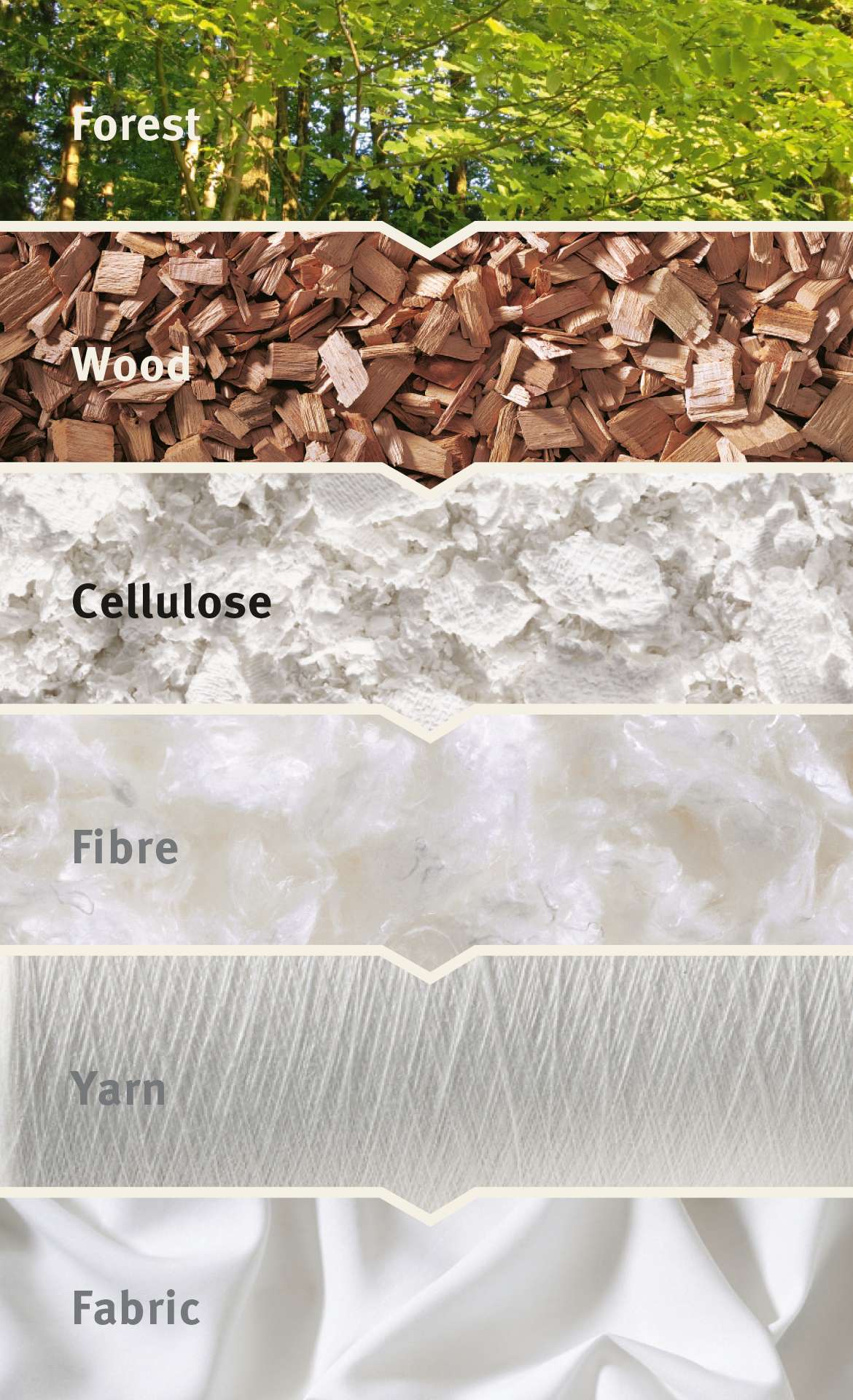 Natural materials like wood, cellulose, and fabric for sustainable sleep comfort.
