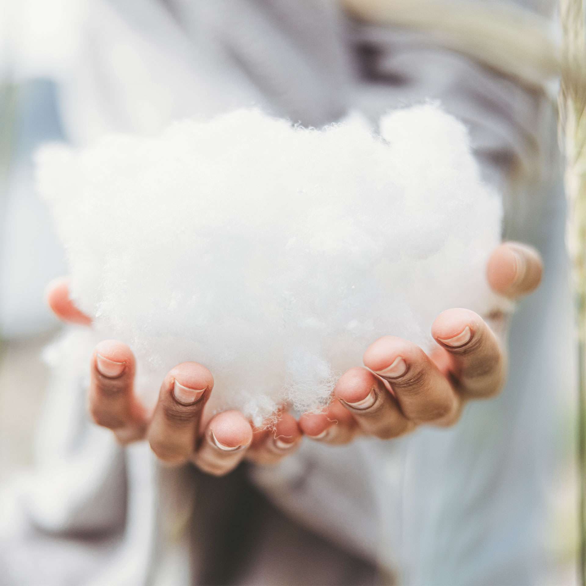 Hands holding a white, fluffy filling alternative for bedding.